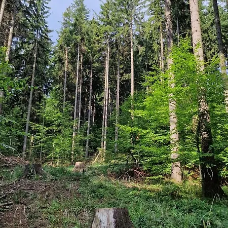 Nad Strumieniem Domek alpejski
