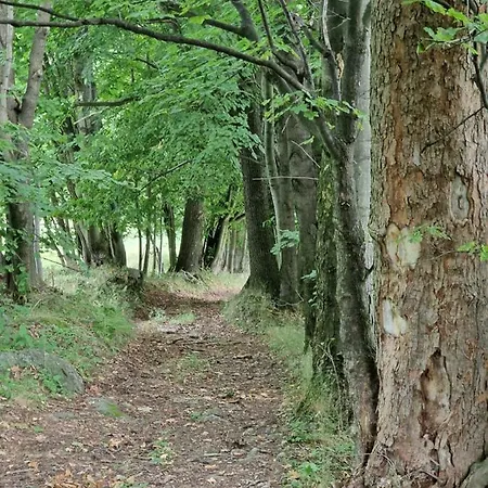 Chalet Nad Strumieniem *