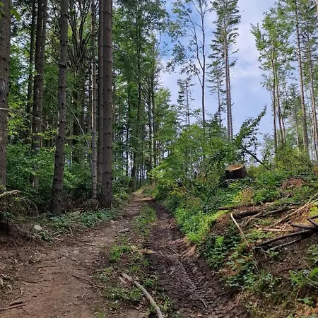 Domek alpejski Nad Strumieniem Pieszyce