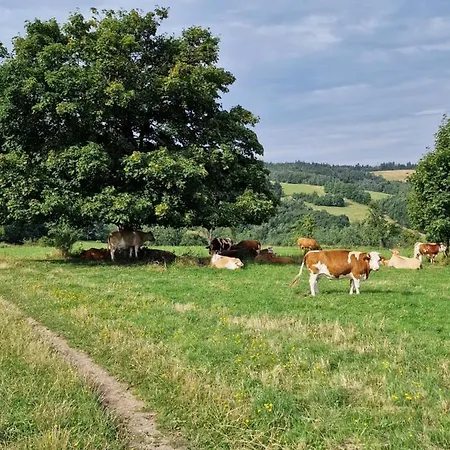 Domek alpejski Nad Strumieniem