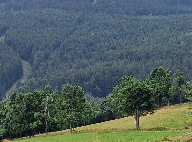 Nad Strumieniem Chalet *