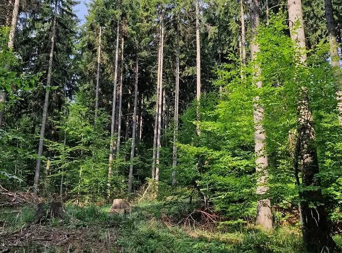 Nad Strumieniem Chalet