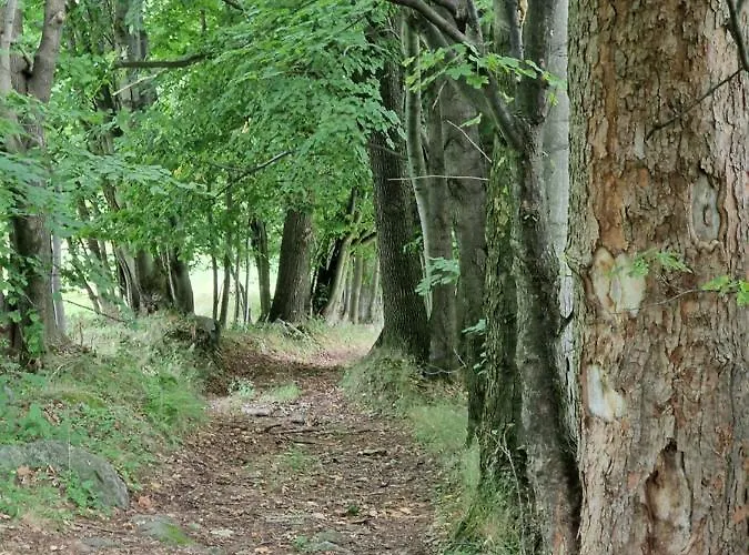 Chalet Nad Strumieniem *