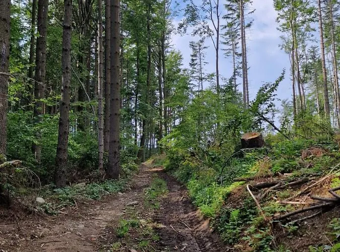 Chalet Nad Strumieniem Pieszyce