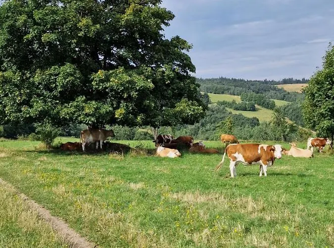 Chalet Nad Strumieniem