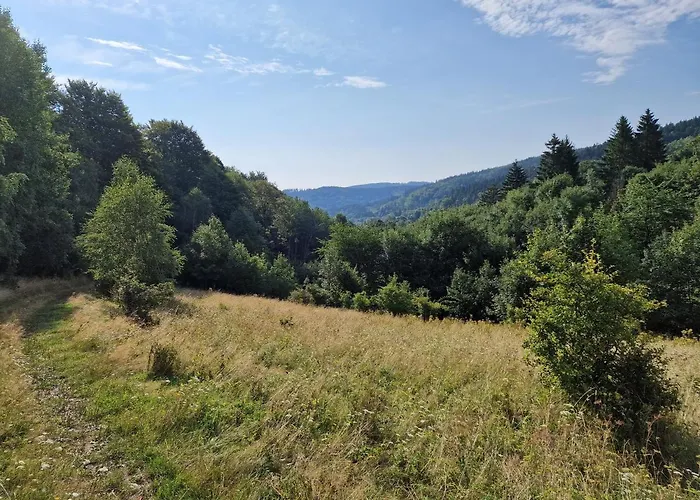 Nad Strumieniem Chalet Pieszyce