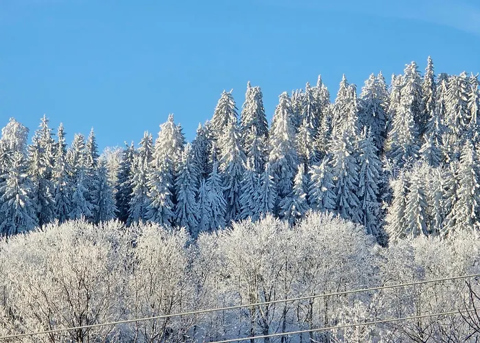 Nad Strumieniem Chalet